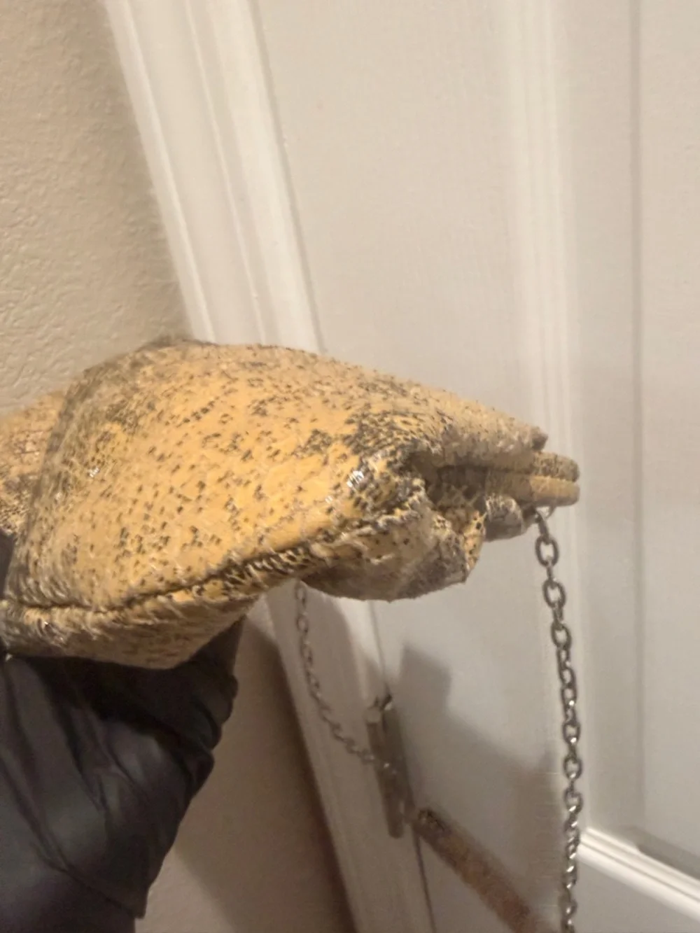 Hobo Dove Crackle Exotic
Animal Print Python Clutch Bag_5